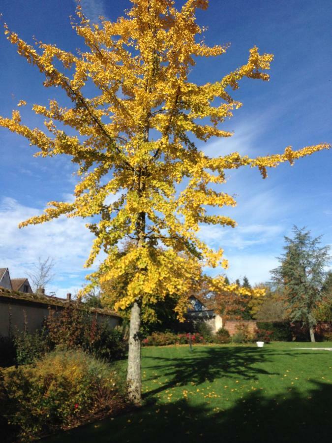 Les Couleurs Du Verger Beaumont-les-Autels Exterior foto